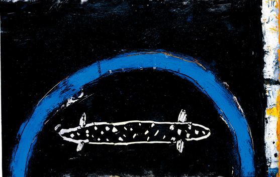 Reptil28 x 18 cm